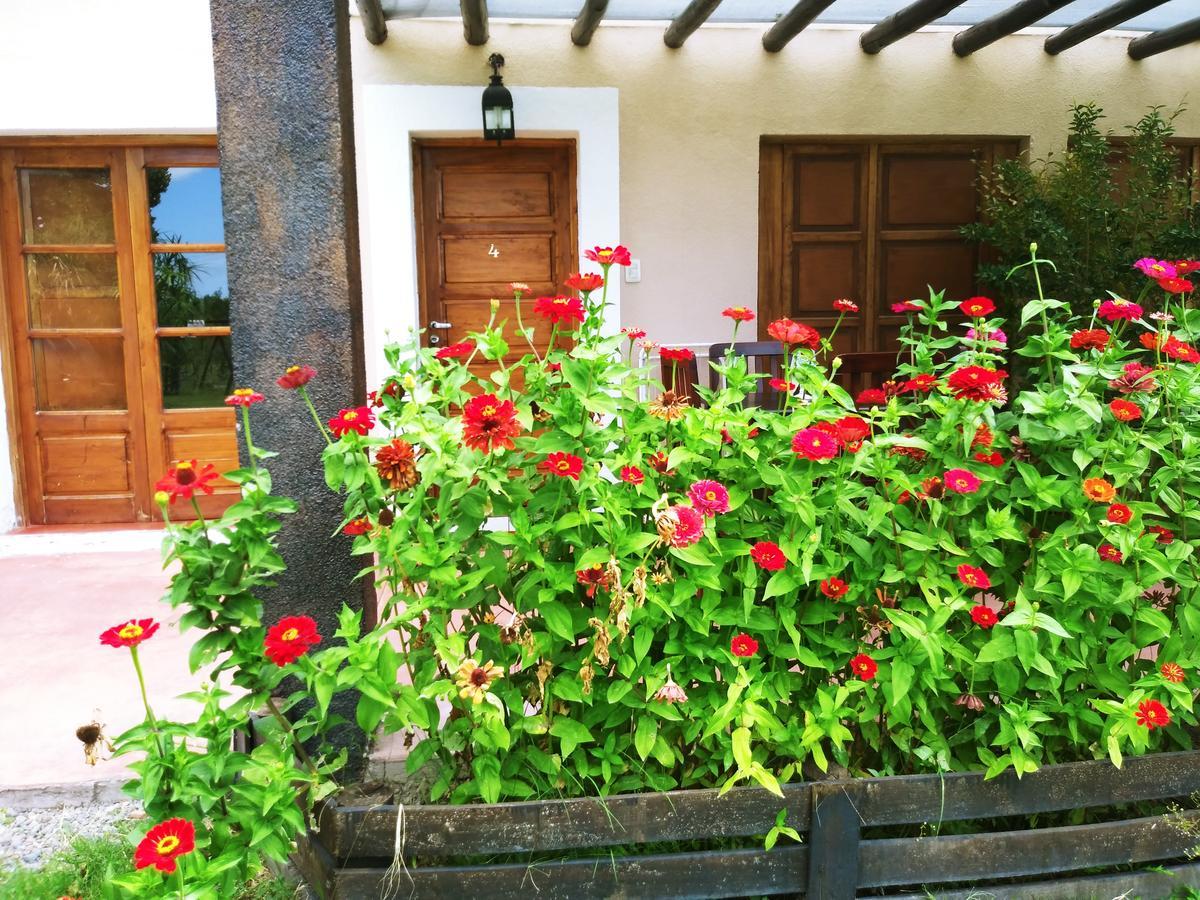 Hotel Finca Los Almendros Tunuyán Exteriér fotografie